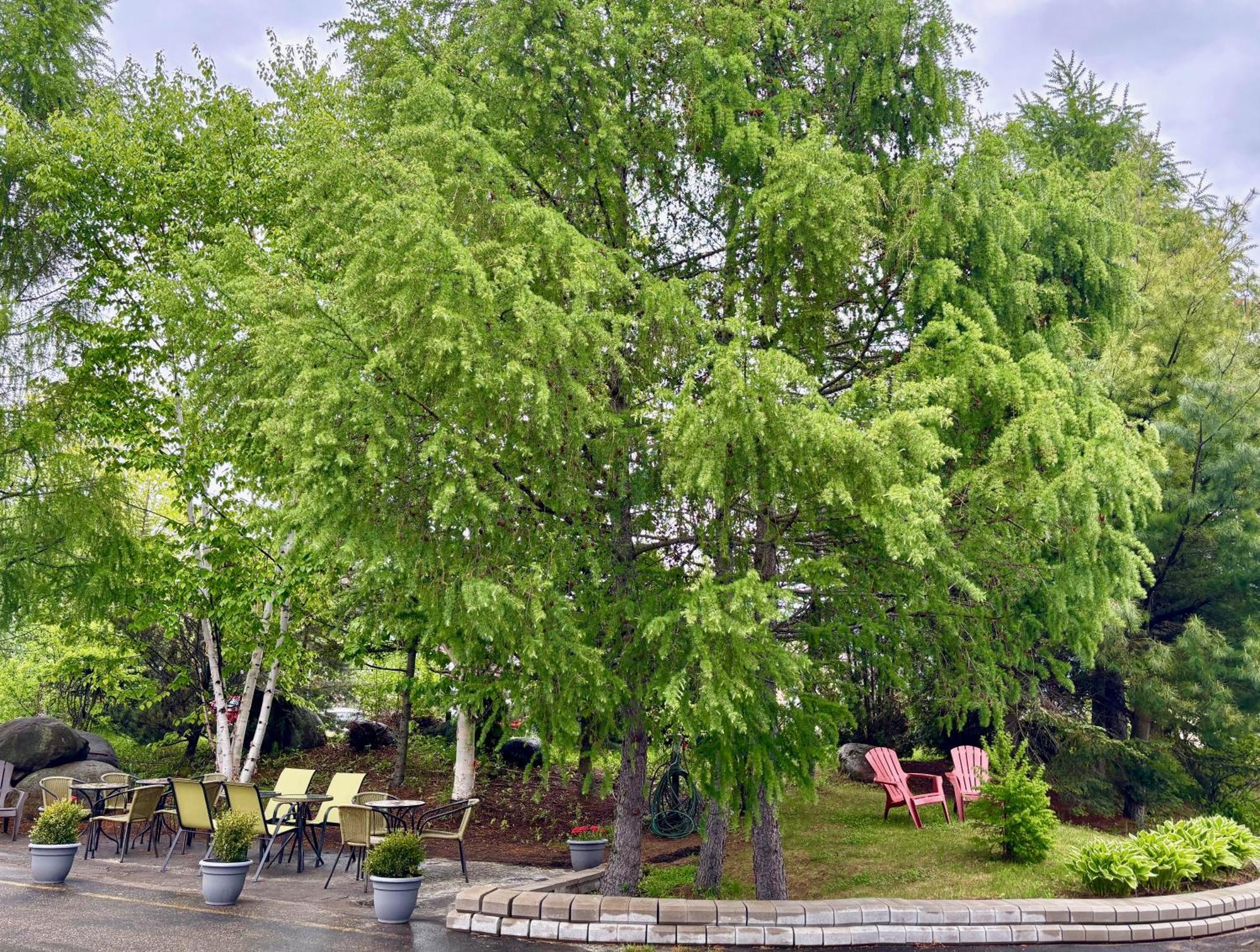 Motel Boutique Hygge บี-แซ็ง-ปอล ภายนอก รูปภาพ
